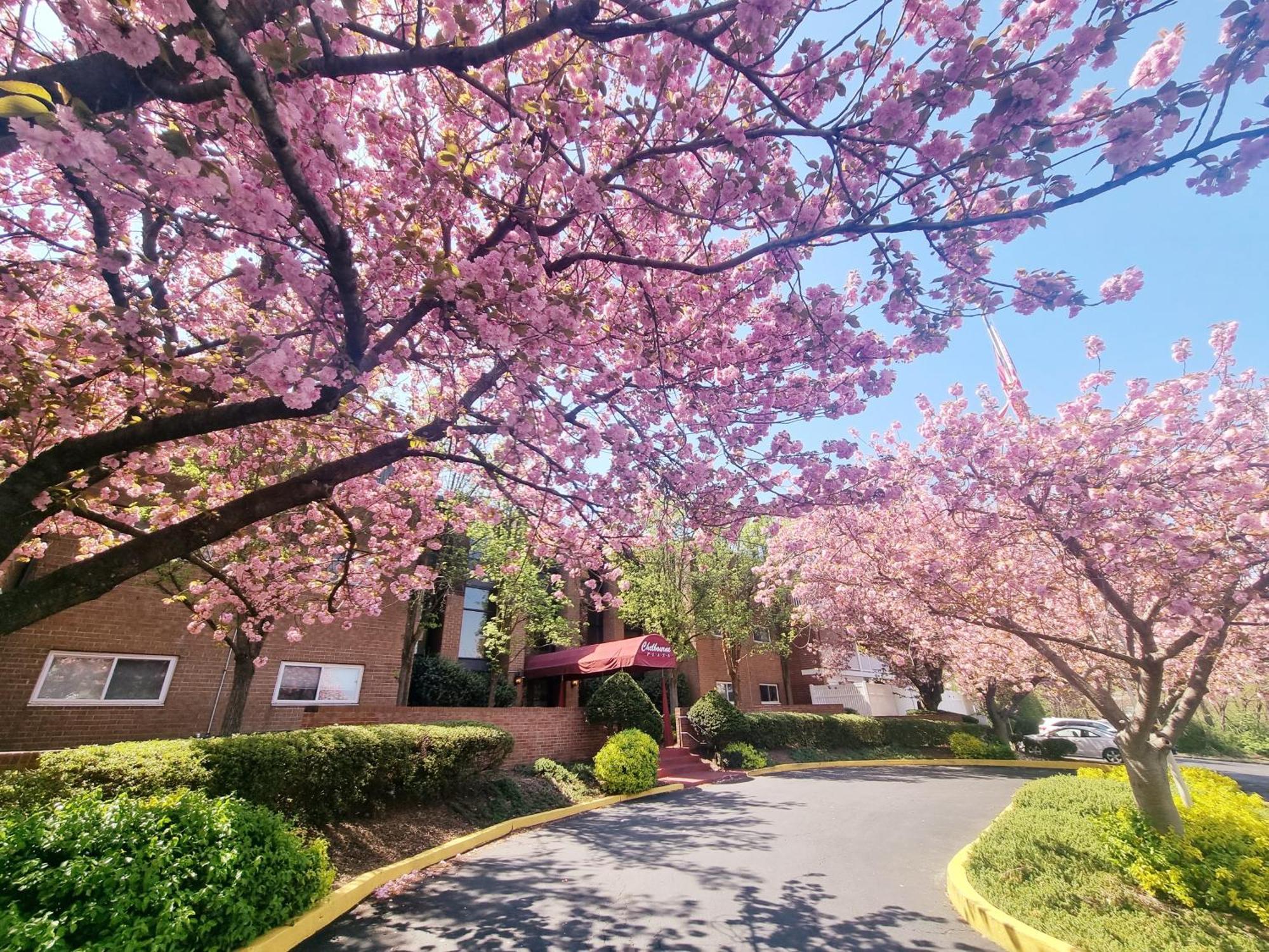 Apartment Beautiful, Spacious, 22 In Elkins Park