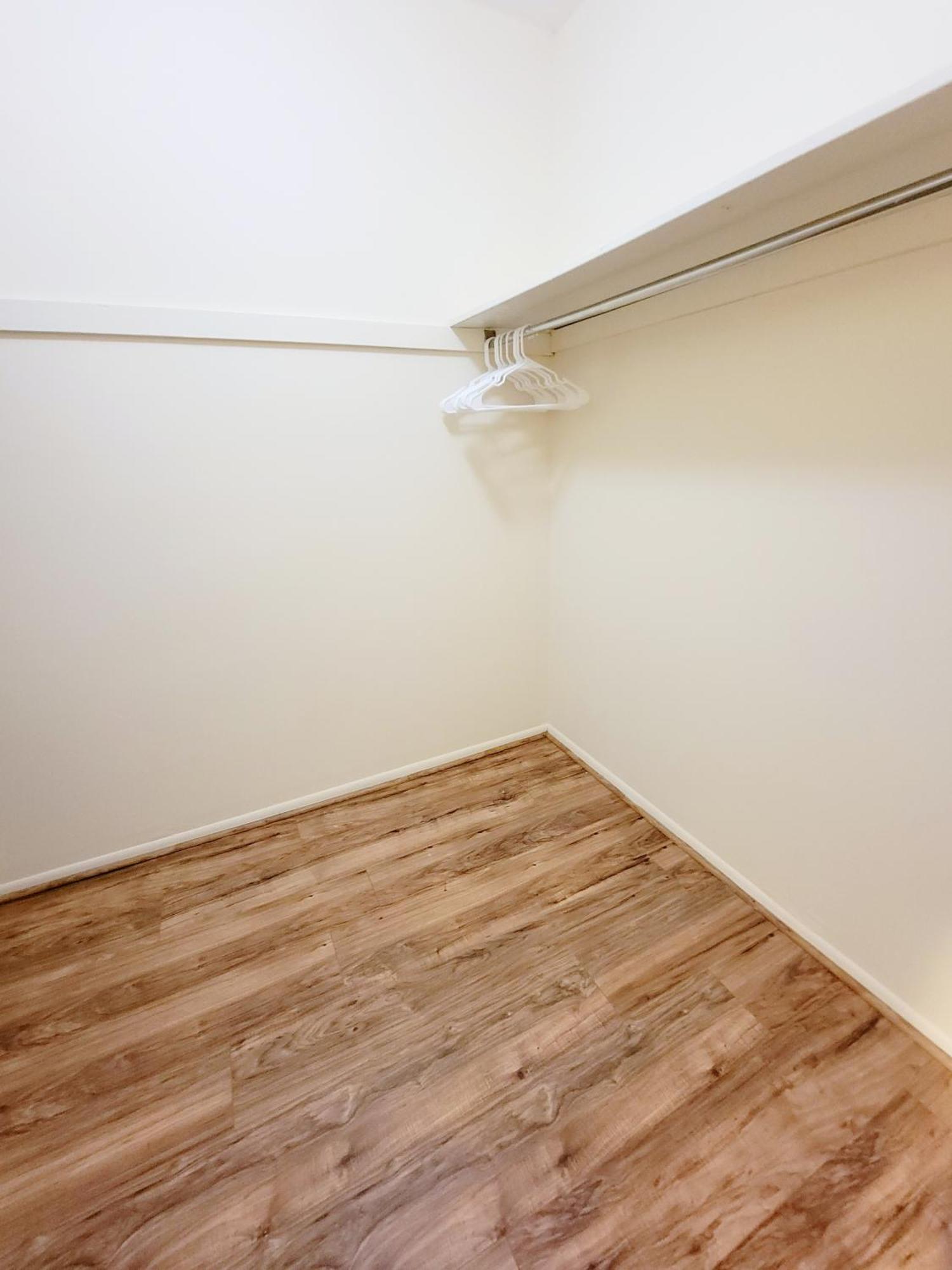 Apartment Beautiful, Spacious, 22 In Elkins Park Willow Grove